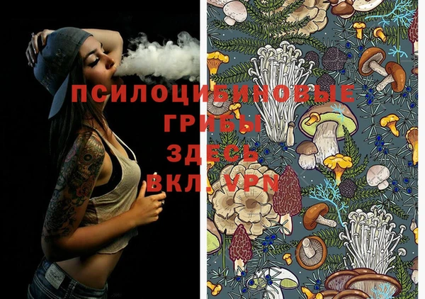 прущие крисы Осинники
