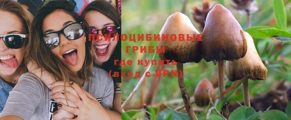 хмурый Осташков